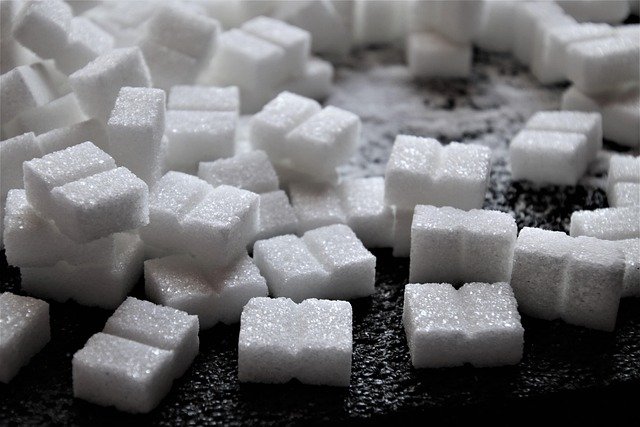 칼로리 관리 첫 번째 이미지 칼로리 관리 첫 번째 이미지